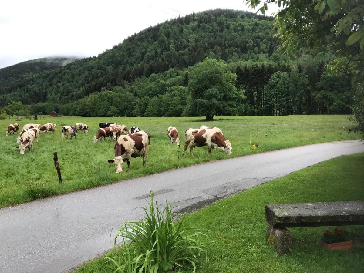 Gite De La Mesange Rochesson Bagian luar foto