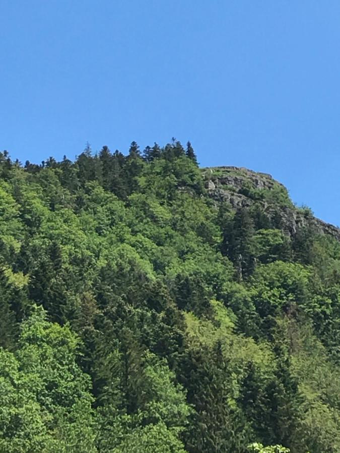 Gite De La Mesange Rochesson Bagian luar foto