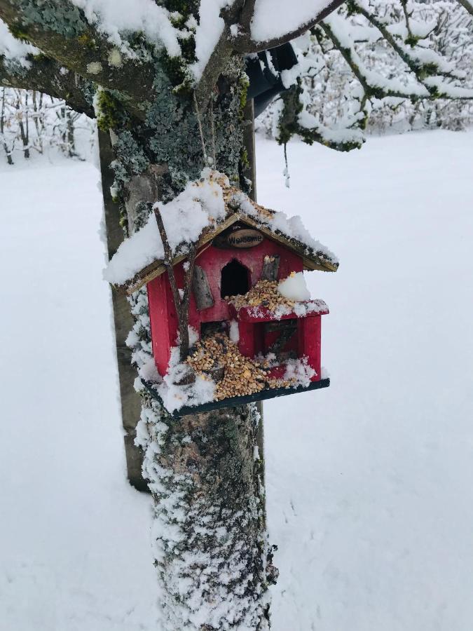 Gite De La Mesange Rochesson Bagian luar foto