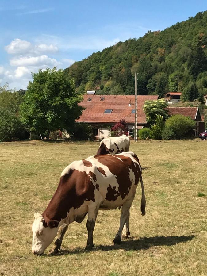 Gite De La Mesange Rochesson Bagian luar foto