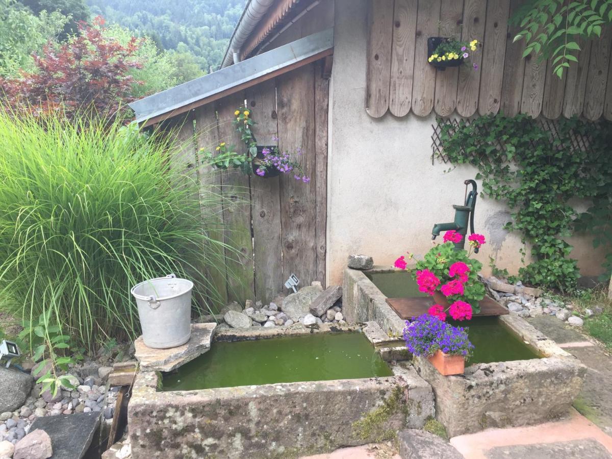 Gite De La Mesange Rochesson Bagian luar foto
