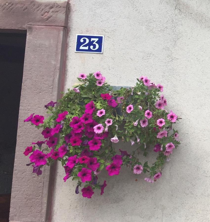 Gite De La Mesange Rochesson Bagian luar foto